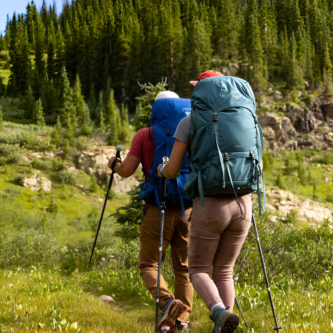 Why the Right Backpack Matters