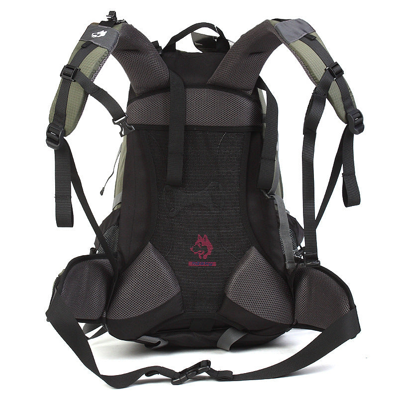 Camping  Hiking Nylon Rainproof Backpack